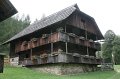 IMG_1195